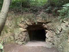 -上海佘山国家森林公园天马山园