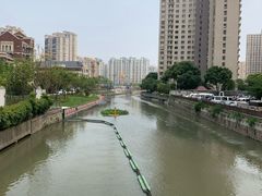 -东方名猫馆·英短金渐层布偶猫舍(环线广场1号楼店)