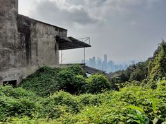 -南山植物园
