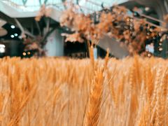 -武汉光谷K11