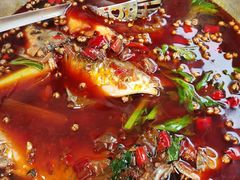 邮亭鲫鱼-曾老幺鱼庄(龙华商厦店)