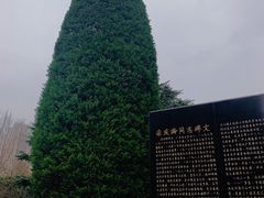 -宋庆龄陵园