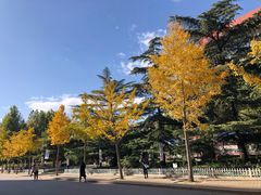 -中国政法大学(昌平校区)