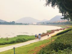 -风云岭森林公园