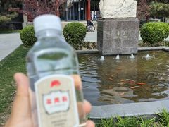 -北京鲁迅博物馆(北京新文化运动纪念馆鲁博馆区)