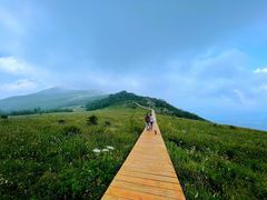 -白草畔自然风景区