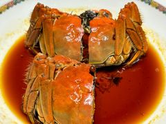 -新光酒家·河豚·海鲜·蟹料理(浦东店)