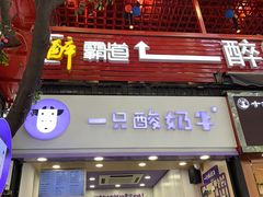 -一只酸奶牛(八一路店)