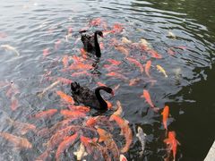 -安吉涵田度假村·水榭居中餐厅