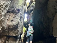 -鲁山国家森林公园