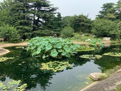 -国家植物园南园