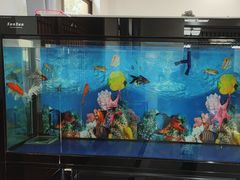 -雅和生态渔庄·宜城锅巴饭(龙灵山公园店)