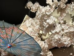 -三月居酒屋(青年大街店)