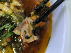 -老字号怡玺·藿香雅鱼(20年雅安店)