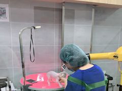 -宠福鑫康馨动物医院·骨科·眼科