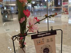-哈根达斯(济南万象城店)