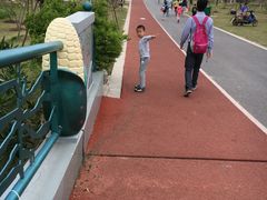 -上海长兴岛郊野公园