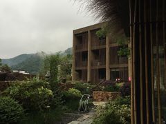 -看见远方·莫干遥远的山民宿