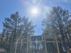 -塞罕坝国家级自然保护区