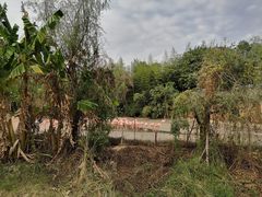 -南昌动物园