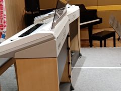 -雅马哈音乐中心 钢琴双排键鼓吉他(静安大融城店)