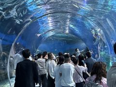-海合安武汉极地海洋公园