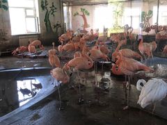 -哈尔滨北方森林动物园