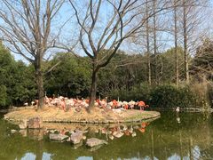 -上海野生动物园