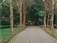 -华南国家植物园-售票处