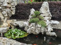 -呼吸森林·生态农庄农家乐私房菜