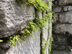 -阳明祠