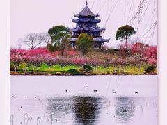 -上海海湾国家森林公园