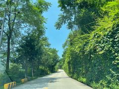 -秦岭终南山世界地质公园翠华山景区