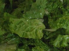 -清真悦宾楼食府(海湖店)
