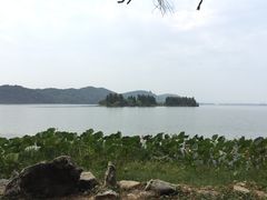 -东湖落雁景区