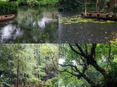 -广州兰圃
