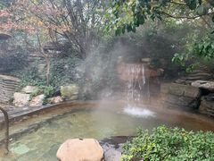 -常州环球恐龙城维景国际大酒店