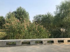 -永定河休闲森林公园