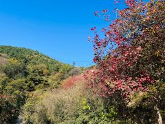 -香山公园