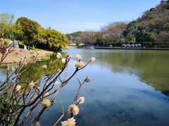 -绍兴镜湖国家城市湿地公园