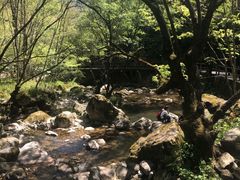 -牛背梁国家森林公园
