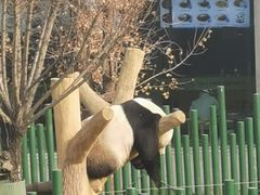 -沈阳森林动物园