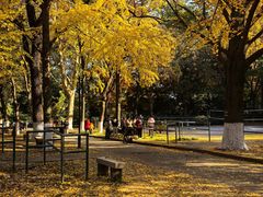 -苏州大学(天赐庄校区)