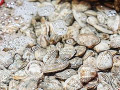 -巽寮印象美食部落餐厅·海鲜·地方特色菜(惠州体验店)