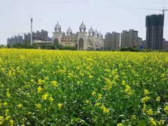 -长白岛森林公园