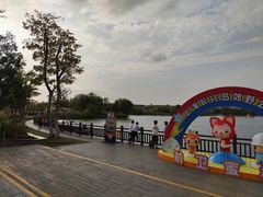 -上海长兴岛郊野公园