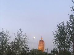 -西海子公园