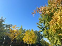 -清华大学-甲所餐厅