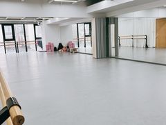-中央芭蕾舞团·中芭艺蕾(酒仙桥明星校区)