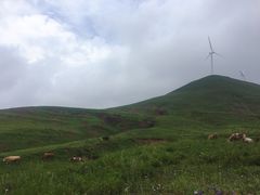 -空中草原